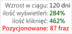 Pozycjonowanie stron